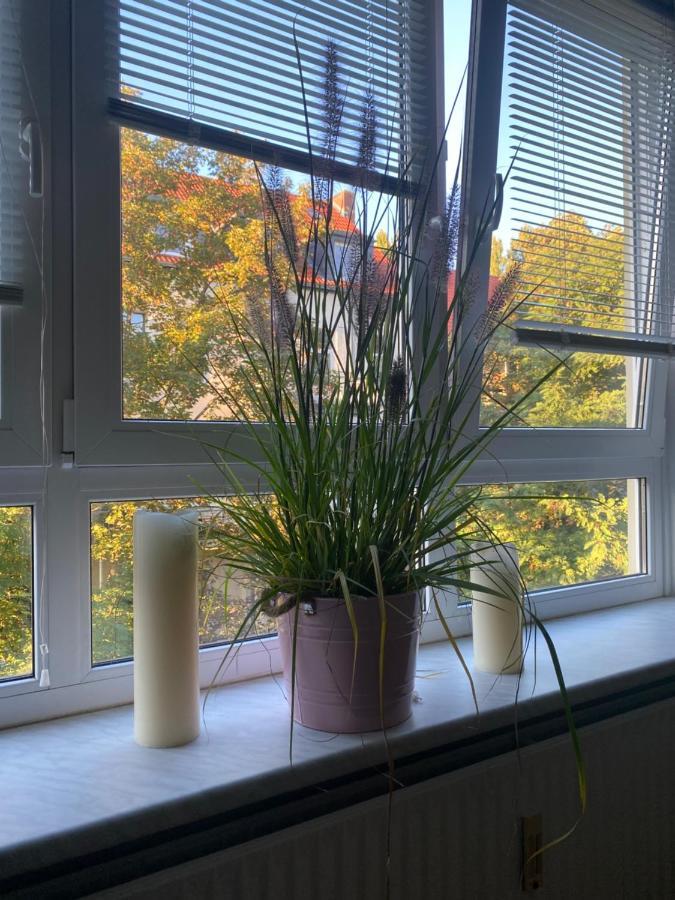 Privatapartment Relax-inn, Netflix & Sky Tv! *